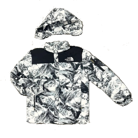 Campera The North Face